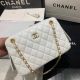 CHANEL 2020 New Style Leather Handbag - White Color
