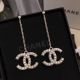 Hot Chanel Earrings CE8017