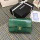 Chanel Classic Green Lizard & Gold-Tone Metal Handbag A01112
