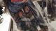 Chanel Silk Scarf For Summer Ladies Necktie