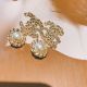 Chanel Brand Earrings with CE8880 Design and JK1778Zw99 Style