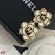 Chanel Style Earrings with Pearl Detail - CE8822