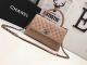 Chanel Classic Top Handle Bag in Apricot Original Leather A92991 Silver