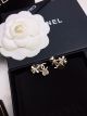 Chanel Earrings with CE8177 and JK2133UF26 - Classic Style Statement Pieces