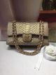 Chanel Classic Python Handbag with Gold-Tone Metal A01112 Gold
