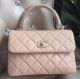 Chanel Classic Flap Bag in Original Sheepskin Leather - A92236 Apricot