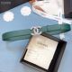AAA grade 1:1 Chanel Original Calf Leather 3602 green and Silver JK608