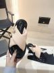 Knockoff Chanel Shoes CHS00493 Heel 3CM Shoes JK4721Lg61