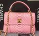 Chanel Classic Flap Bag in Pink Snake Leather A90095